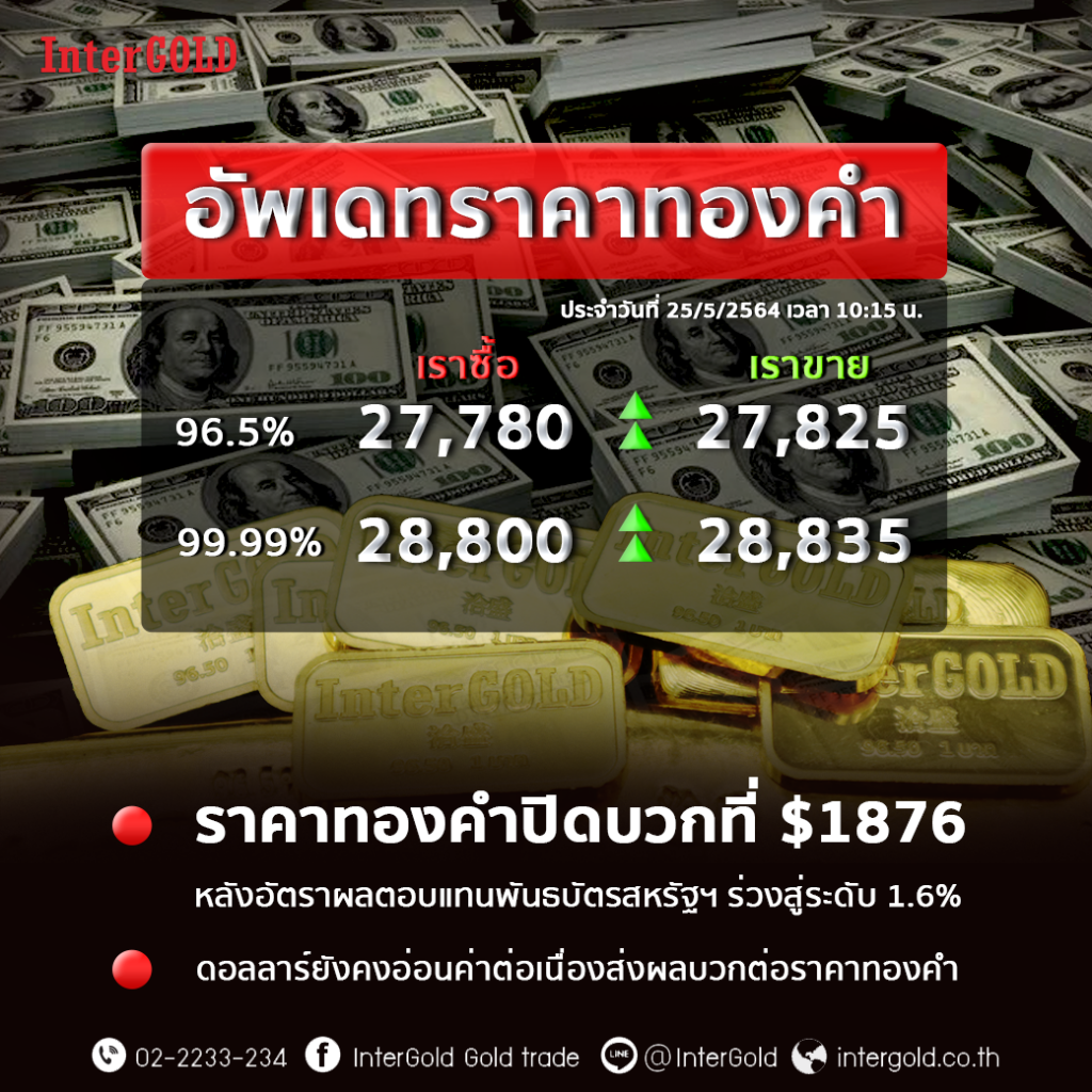My Image 33